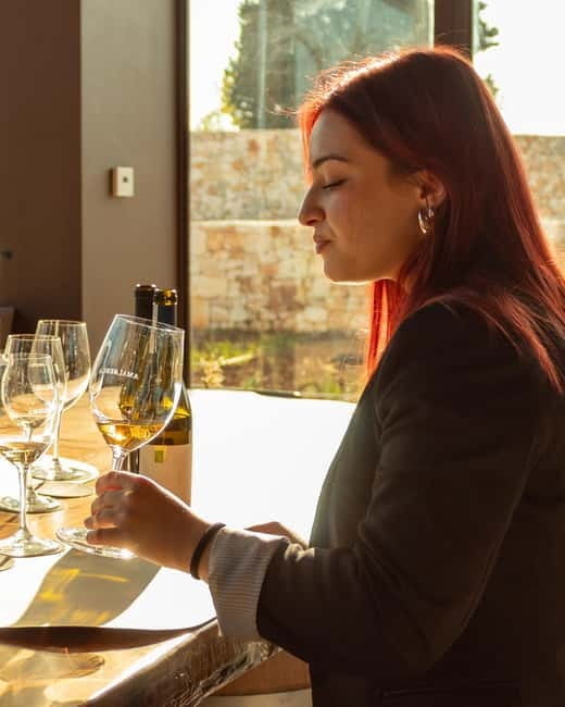 Ostuni organic wines - tour and tasting in the winery - The Bottom Line