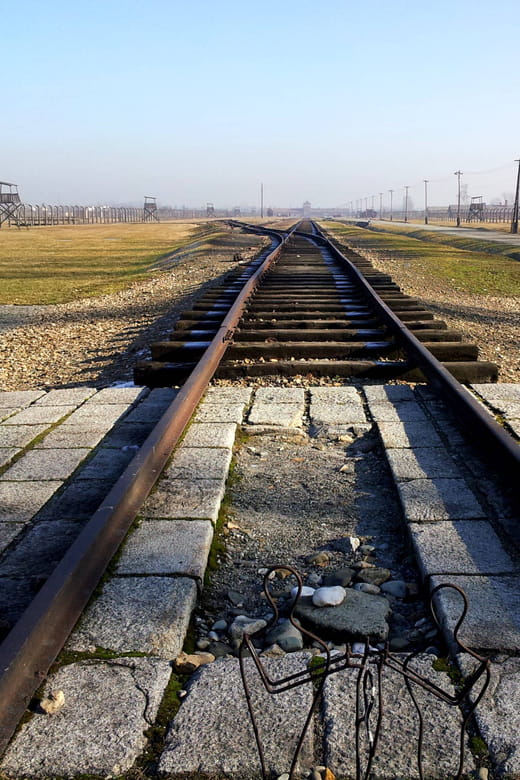 Oswiecim: Auschwitz-Birkenau Skip-the-Line Entry Tickets - Key Points / Takeaways