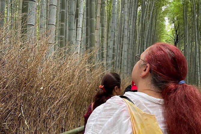 Otagi Nenbutsu Temple and Arashiyama Bamboo Forest Tour - Booking and Health Advisory