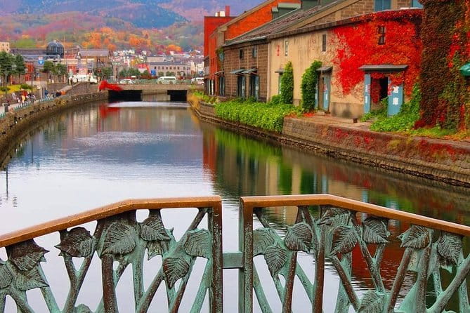 Otaru 4hr Private Trip With Government-Licensed Guide - Accessibility and Participation