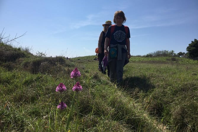 Otranto Trekking Adventure: The Path of the Hermit and the Bay of the Turks - Price, Duration, and Practical Tips