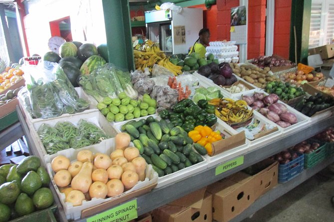 Outback Antigua Tour - Explore Antiguas Ecology