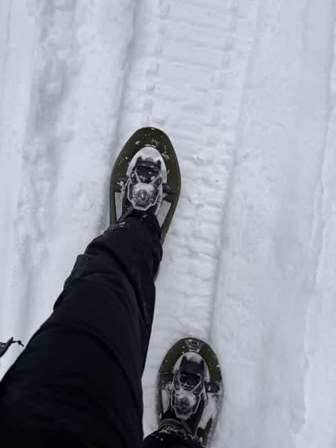 Överkalix: Full-Day Snowshoeing Tour with Outdoor Lunch - Final Thoughts: Who Should Book This Experience?