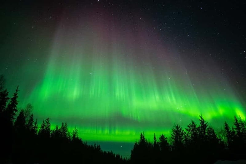 Överkalix: Snowmobile Night Tour with Northern Lights - Key Points / Takeaways