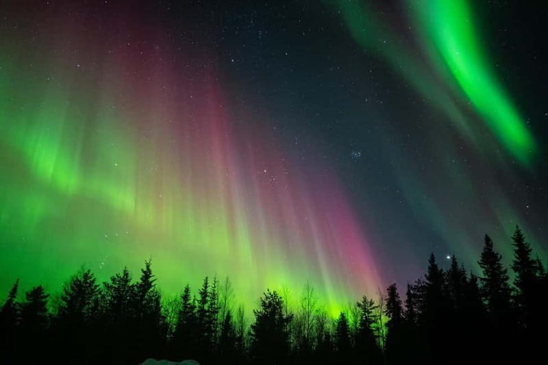 Överkalix: Snowmobile Night Tour with Northern Lights - The Practicalities: What’s Included and What to Consider