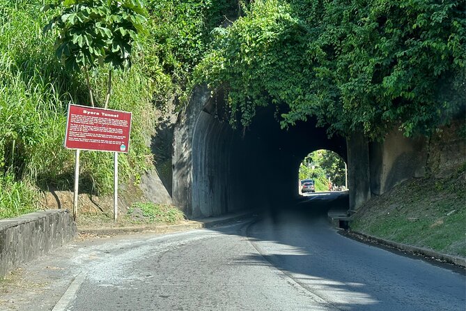 Owia Salt Pond Tour and Black Point Tunnel With Topdawg Taxi and Tours - Accessibility