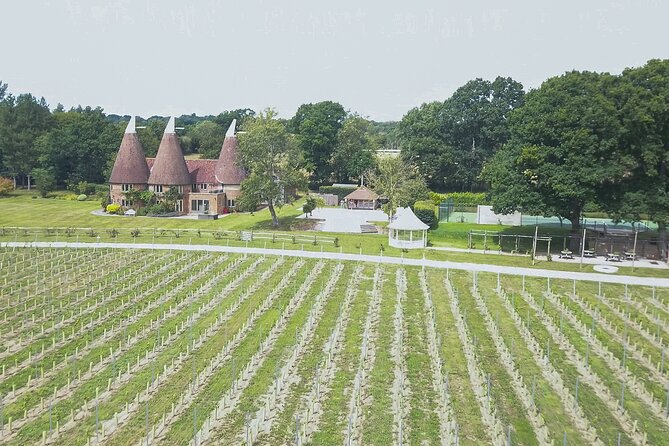Owners Vineyard Tour and Tasting at Oastbrook - Meeting Point and Directions