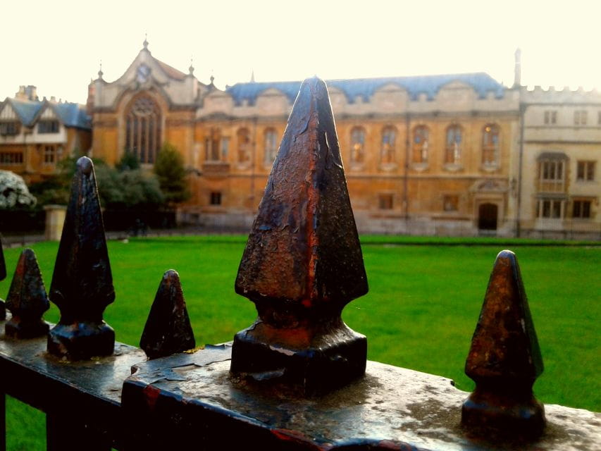 Oxford: Harry Potter Insights Divinity School Group Tour - Private or Small Group