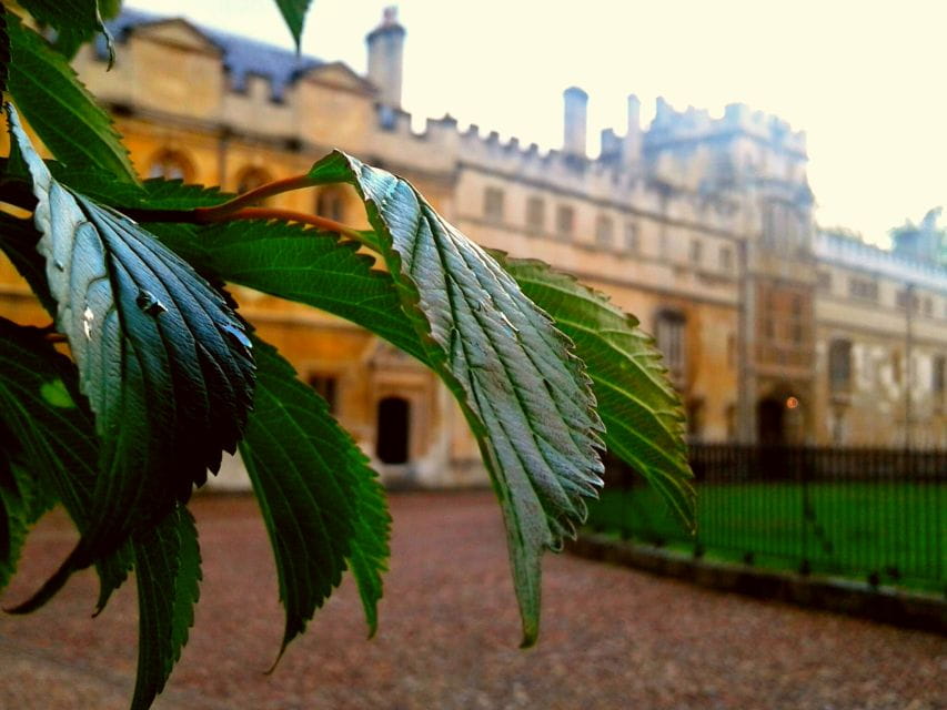 Oxford: Harry Potter Insights Divinity School Group Tour - Highlights of the Tour