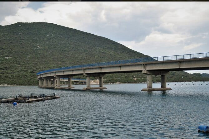 Oysters and mussels tasting with wine in Ston and Peljeac - A Closer Look at the Experience