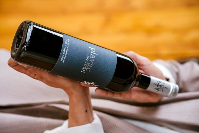 Oysters and mussels tasting with wine in Ston and Peljeac - Final Thoughts