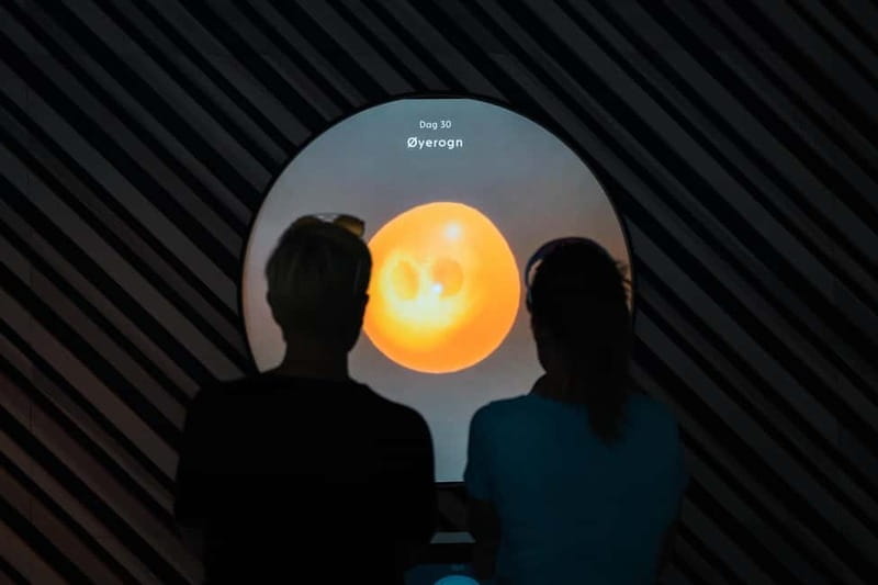 Øystese: Aquaculture Exhibition Guided Tour - Final Thoughts: Is It Worth Your Time?