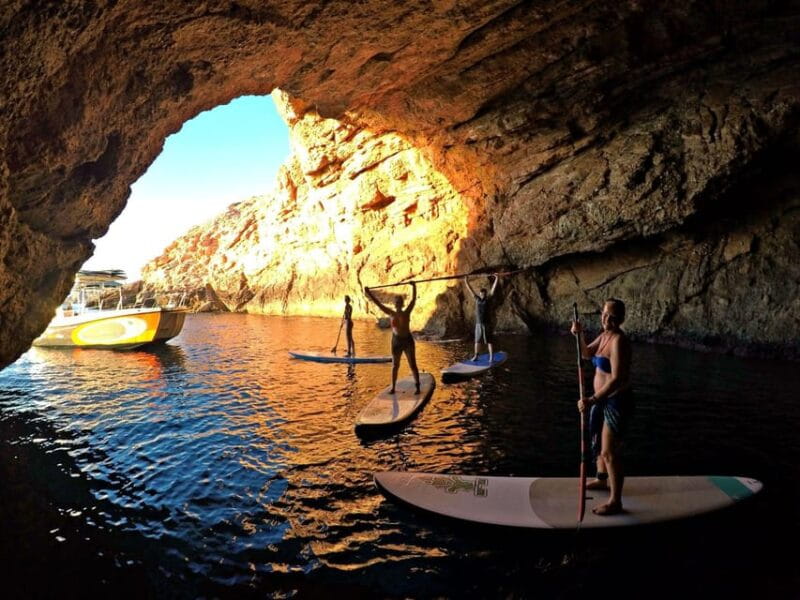 Paddle surf course - Why You’ll Love This Experience