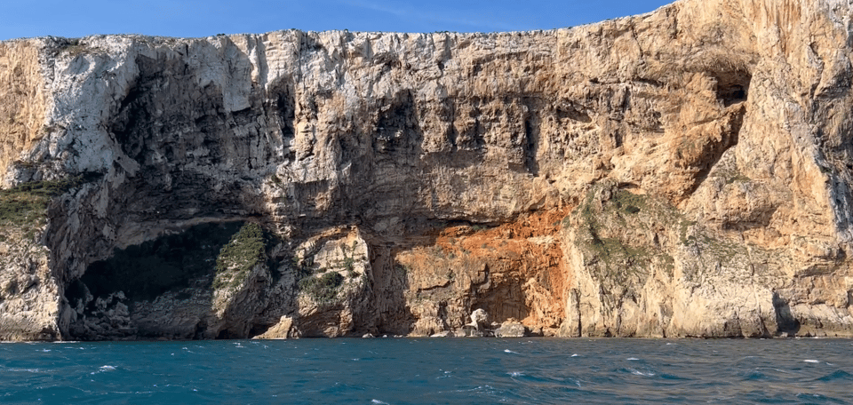 Paddle Surf Delivery Boards - Delivery Process and Equipment