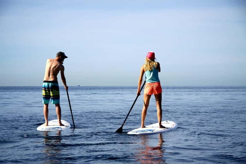Paddle surf excursion - A Closer Look at the Paddle Surf Excursion in Mallorca