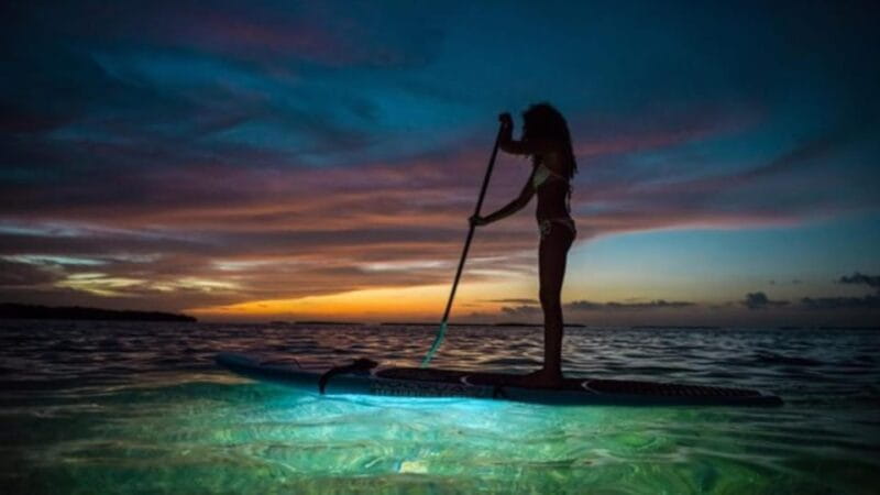 Paddle Surf with Led lights at sunset in Menorca - Key Points / Takeaways