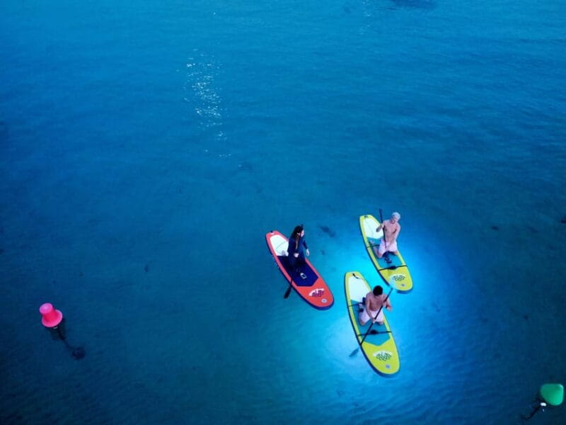 Paddle Surf with Led lights at sunset in Menorca - Who Should Book This?