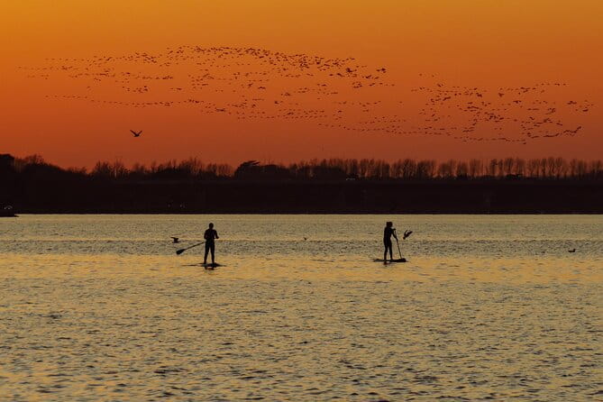 Paddleboarding in Dublin - Discovering Dublin from the Water: Paddleboarding in Malahide Estuary
