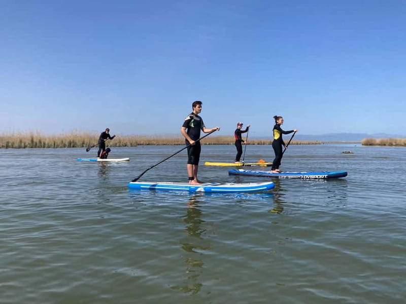 Paddlesurfing excursion in the Ebro Delta - 7 routes to choose from - Key Points / Takeaways