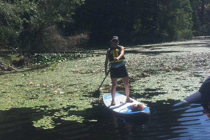 Paddling Thetis Lake - Flexible Cancellation Policy
