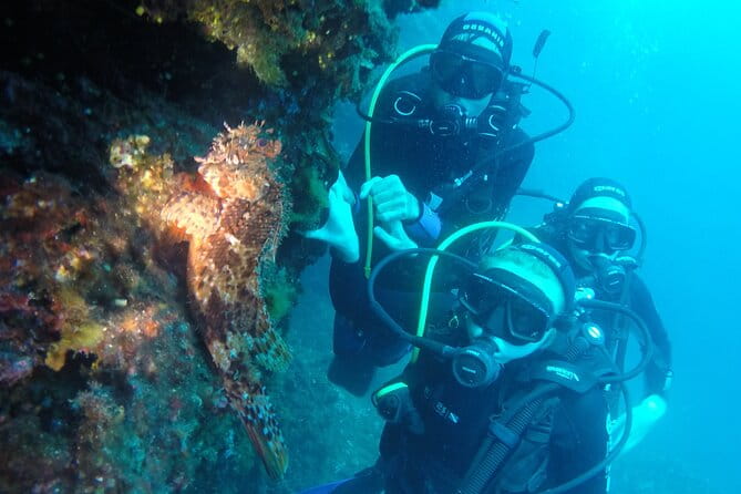 PADI Discover Scuba Diving in Dubrovnik - An In-Depth Look at the Dubrovnik PADI Discover Scuba Experience
