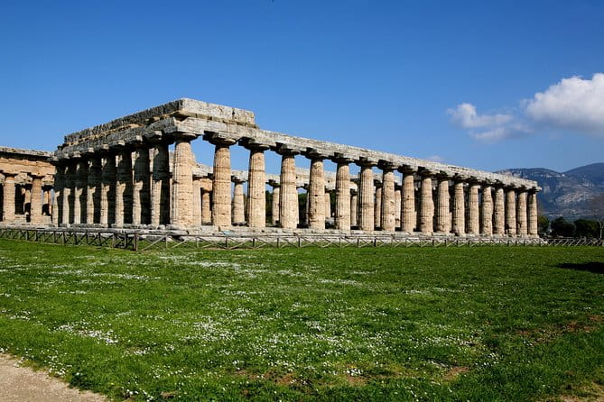 Paestum, Buffalo Mozzarella tasting and light lunch private tour - Price and Value