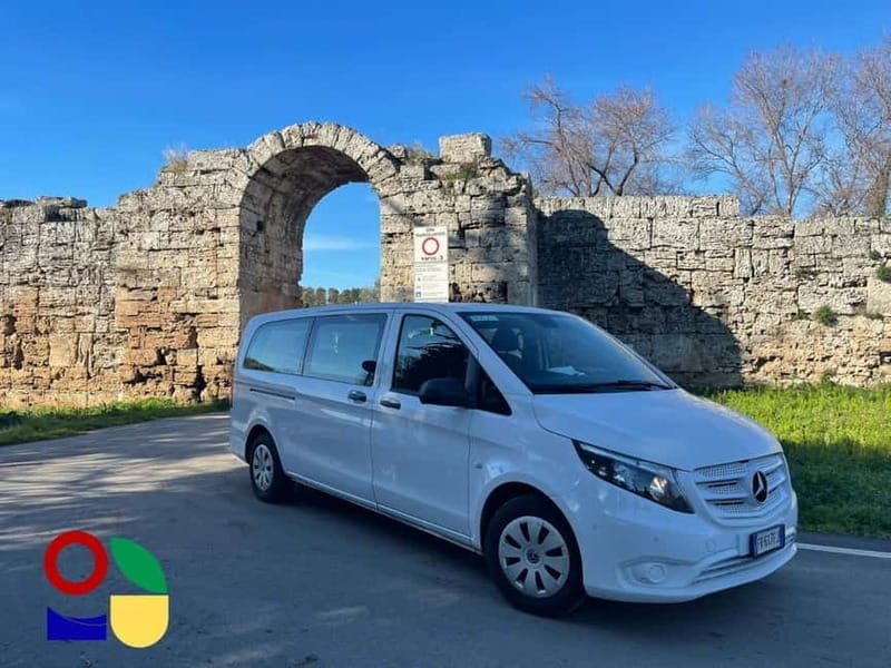 Paestum: City Orientation Tour - Visiting a Buffalo Farm and Tasting Mozzarella