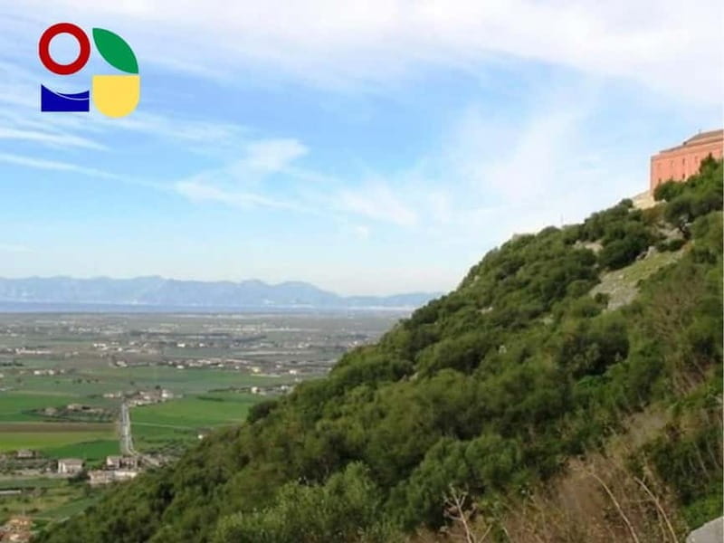 Paestum: City Orientation Tour - Summary