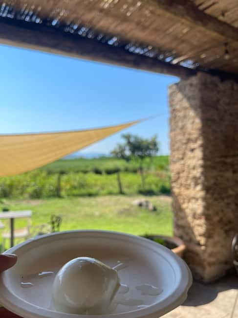 Paestum: City Orientation Tour - Frequently Asked Questions