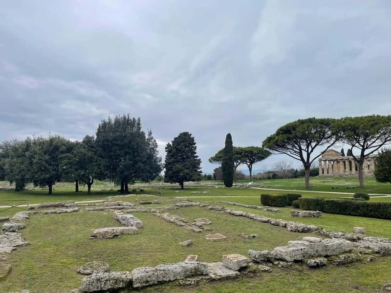 Paestum for cruise passengers - Key points / Takeaways