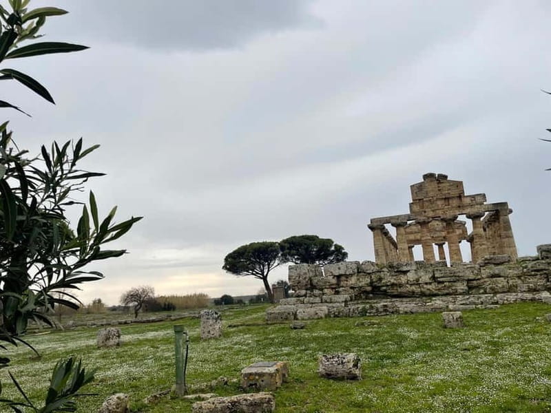 Paestum for cruise passengers - Discovering the Temples of Paestum