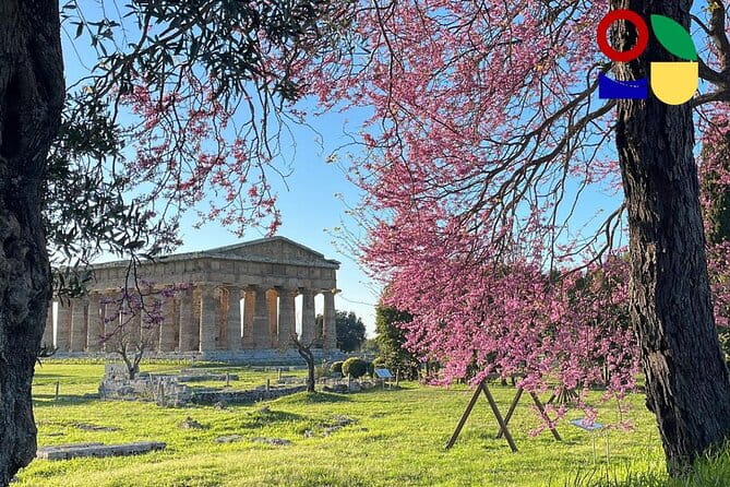 Paestum Orientation Tour - The Sum Up: Who Should Consider This Tour?
