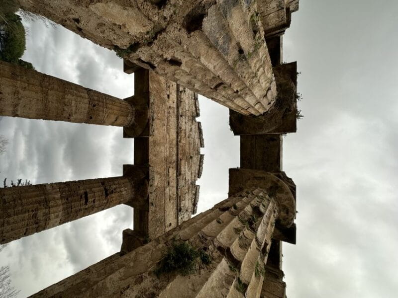 Paestum: Temples and Museum Tour with Archaeologist Guide - Paestum: A Deep Dive into Ancient Greek Architecture and Art