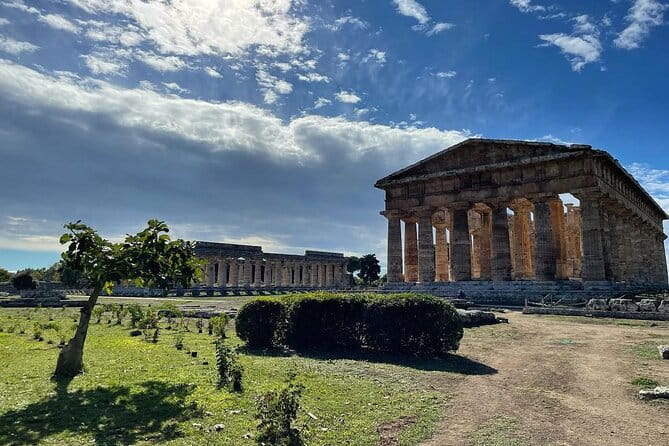 Paestum Whole Family Private Tour - Key points / Takeaways