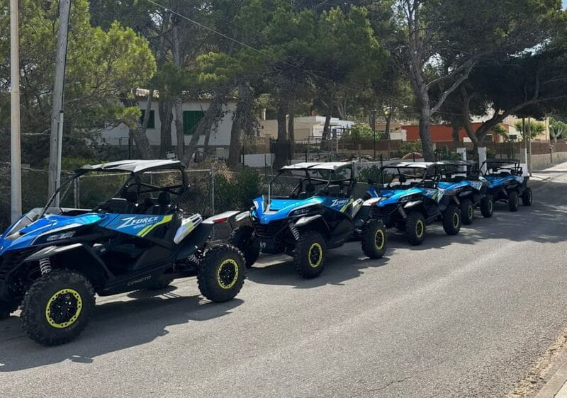 Paguera: 2 Hour Buggy Tour - Key points / Takeaways