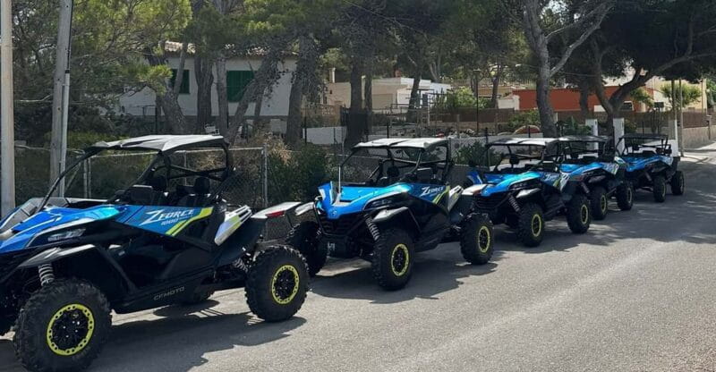Paguera: 2 Hour Buggy Tour - Who Will Enjoy This Experience Most