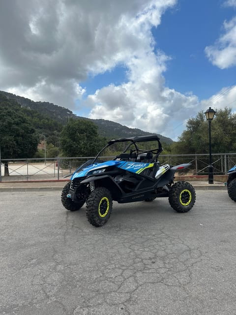 Paguera: 2 Hour Buggy Tour - Practical Tips for Making the Most of the Tour