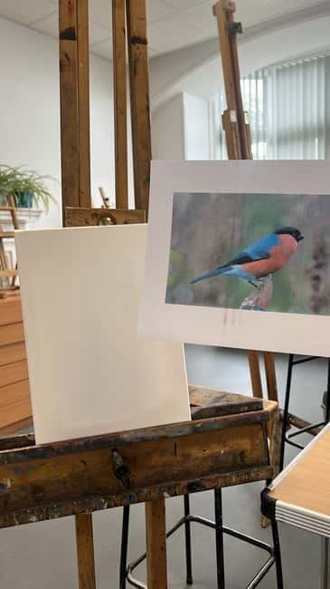 Paint and Sip in kent - Price and value