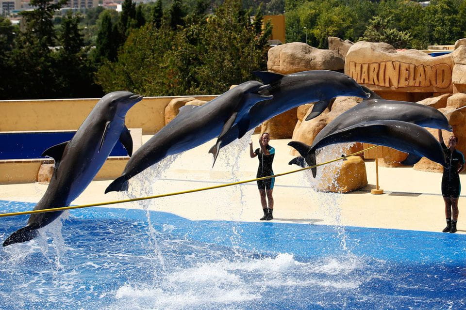 Palafolls: Marineland Dolphinarium and Water Park Tickets - Directions to the Park