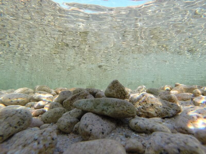 Palau: personalized boat tour to visit Maddalena Archipelago - Analyzing the Value: Is It Worth It?