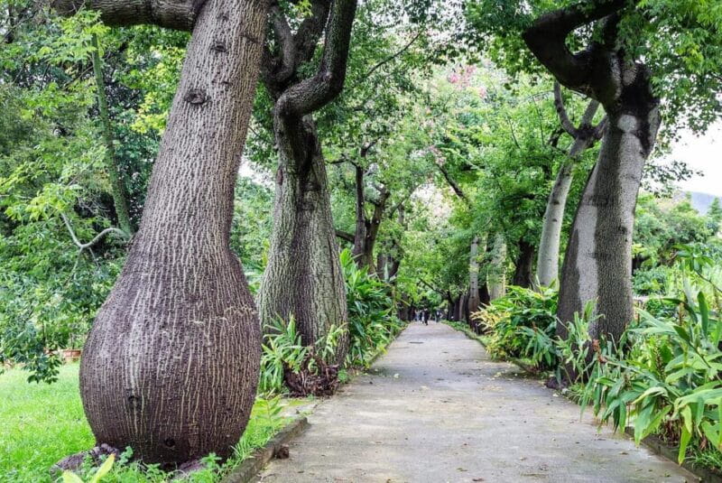 Palermo: Botanical Garden Entry Ticket and Palermo Audio App - Key Points / Takeaways