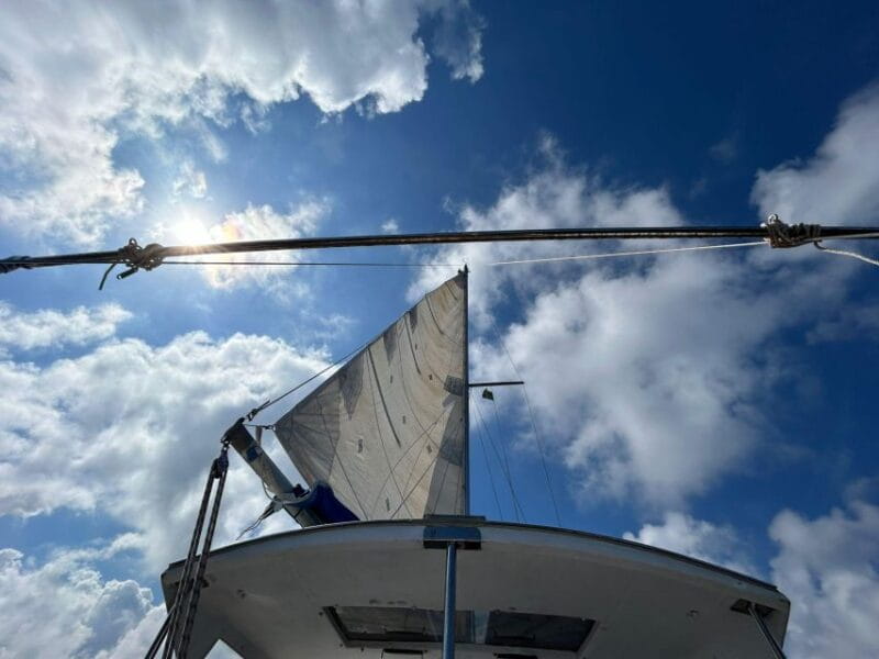 Palermo: Full-Day Snorkeling Boat Tour with Lunch and Wine - Scenic Cruising and Unique Viewing Points