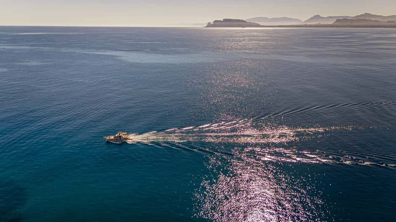 Palermo: Private Boat Tour Customized on Request + drink - Key Points and Takeaways