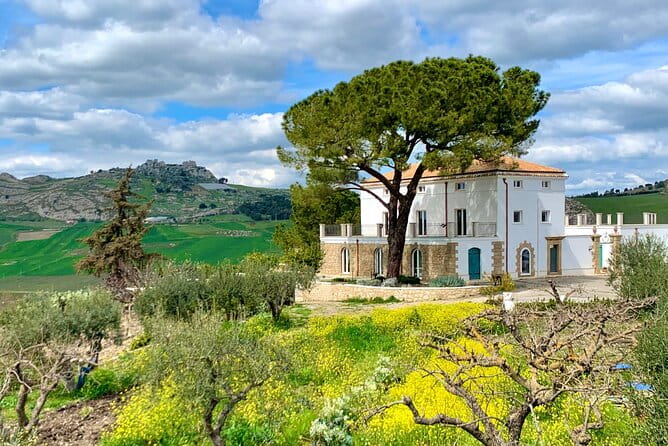 Palermo Private MINITOUR of WEST SICILY 4 Days with Guide Driver - Who Will Get the Most From This Tour?