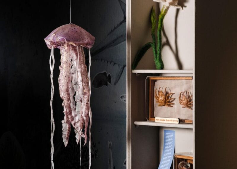 Palermo: sensorial experience of nature and ecology - Entering the Heart of Nature at Radici