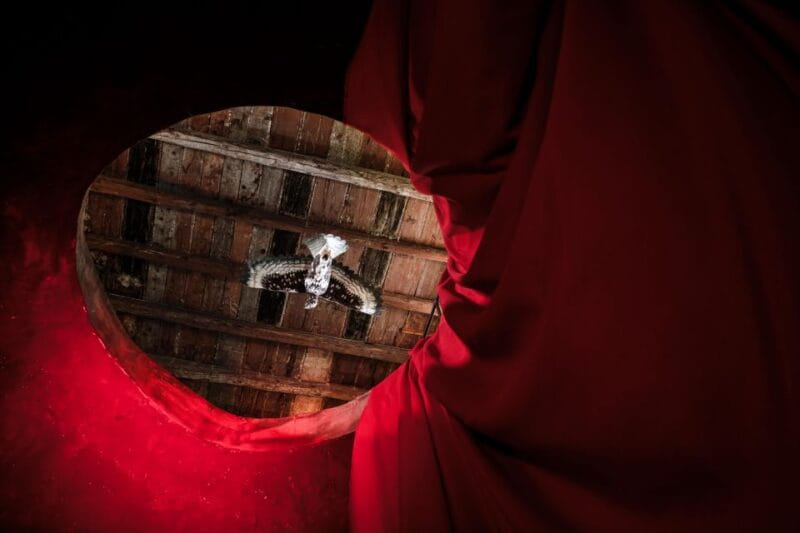 Palermo: sensorial experience of nature and ecology - Final Thoughts: Who Will Love This?