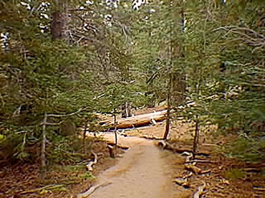 Palm Springs Aerial Tramway - Key Points