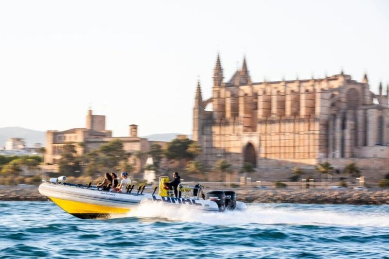 Palma Bay: Speedboat Discovery Tour - Who Is It Best For?