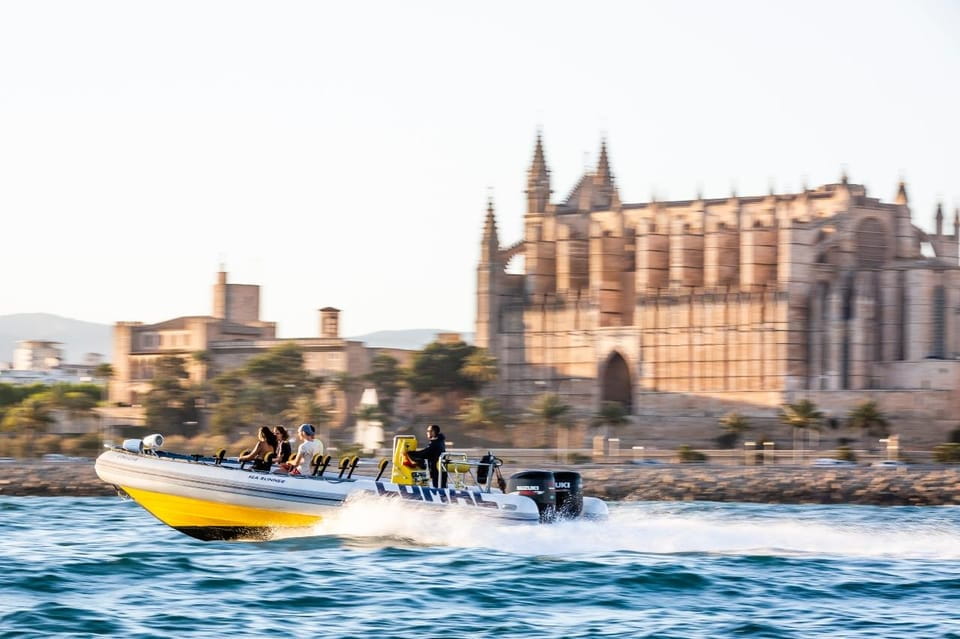 Palma Bay: Speedboat Discovery Tour - Experience Highlights