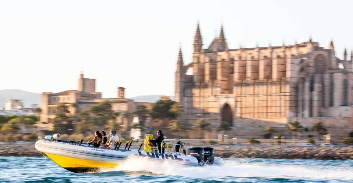 Palma Bay: Speedboat Discovery Tour - Pristine Waters for Swimming